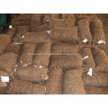 Liaoning fresh chestnut para la venta